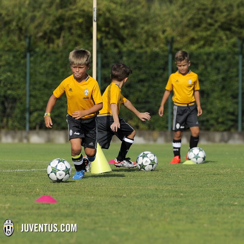 I Piccoli Amici al Lavoro