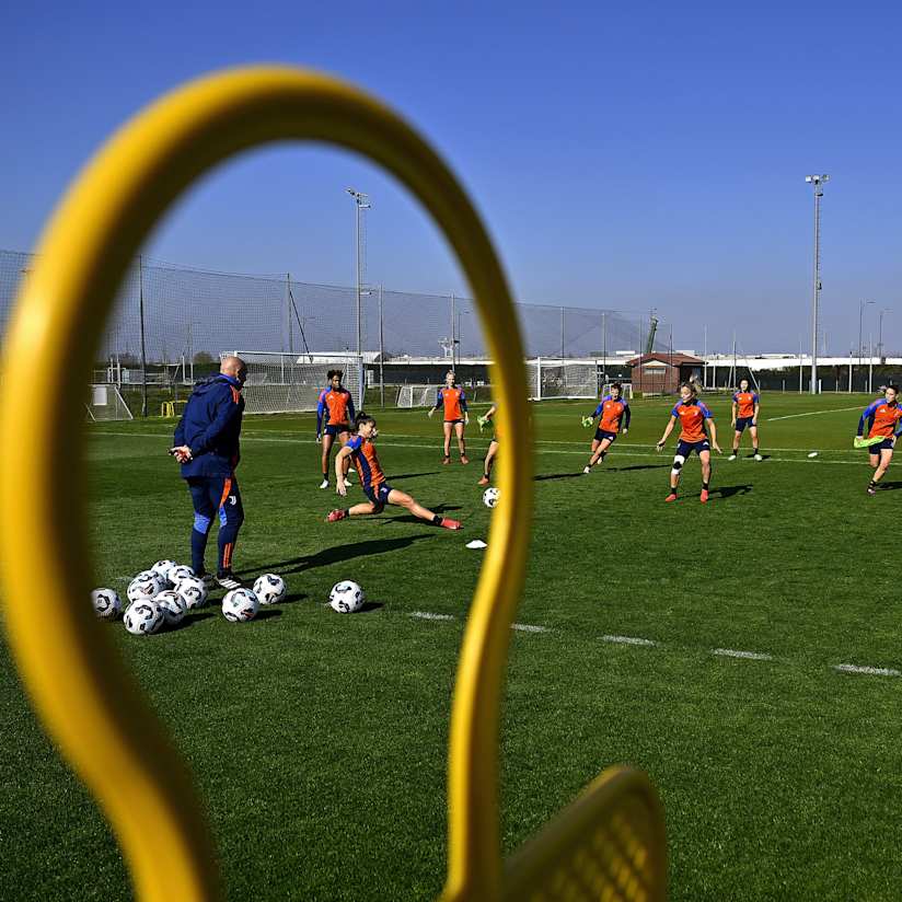 Gallery | Women, working under Vinovo Sun