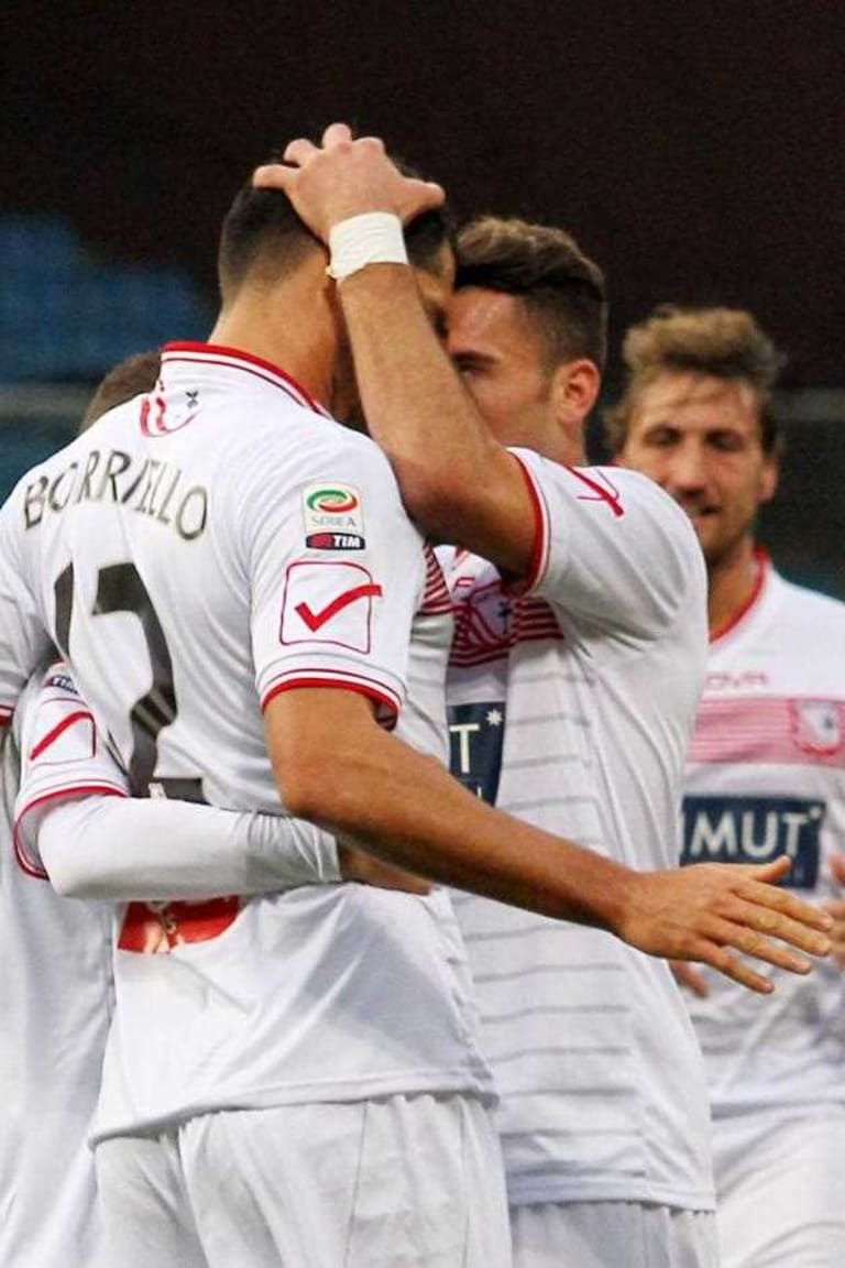 A closer look at Carpi